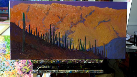Saguaros in Desert, Evening