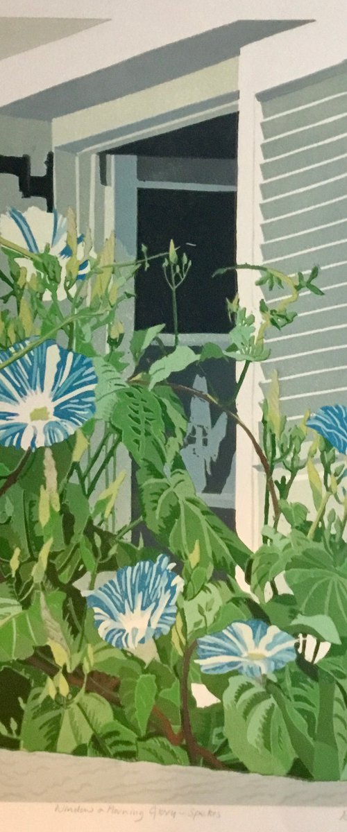 Window and Morning Glory Spetses by Rosalind Forster