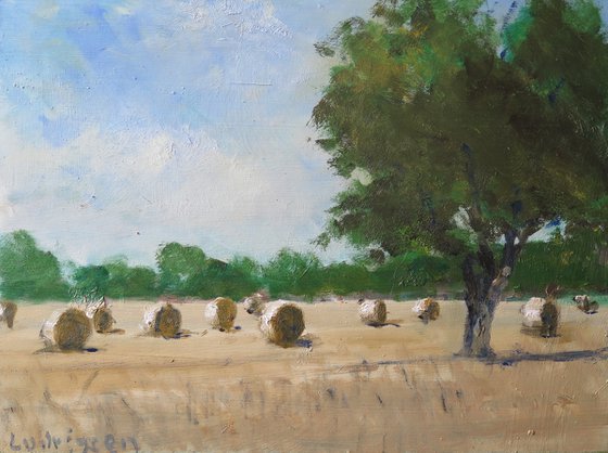 Hay Bales near York