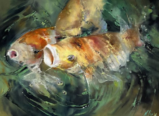 Turquoise Water Sunlight Koi Fishes