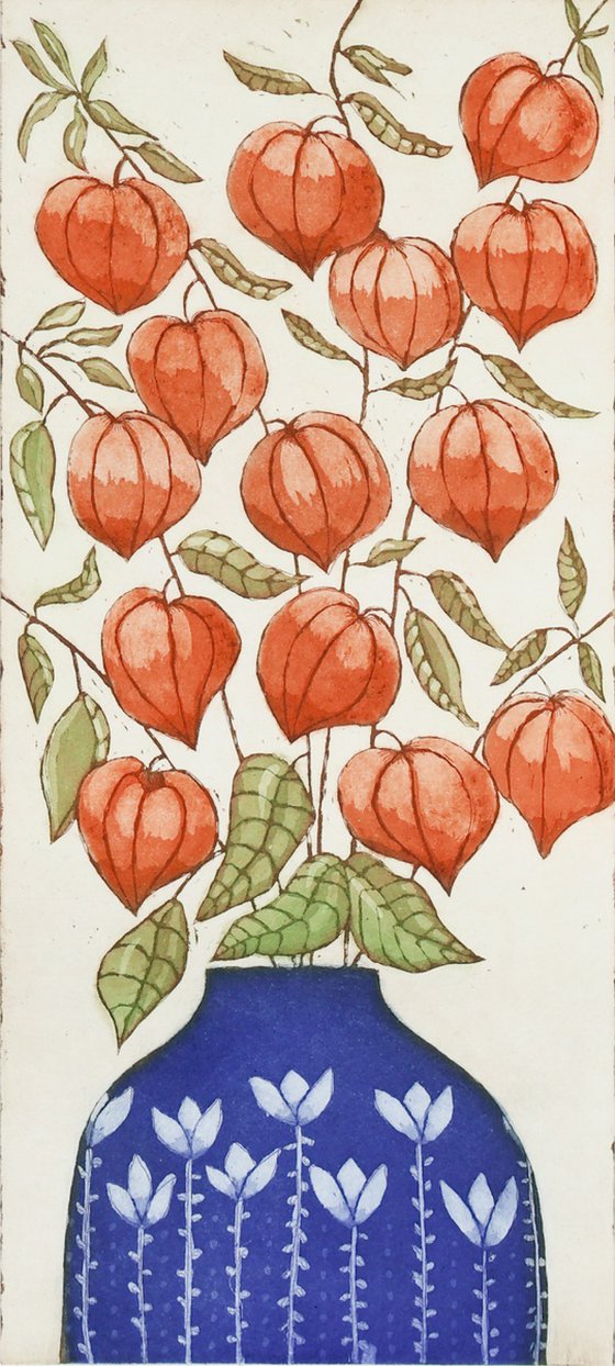 Chinese Lanterns (Physalis alkelengi)