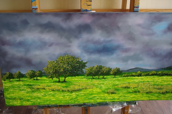 Storm Approaching