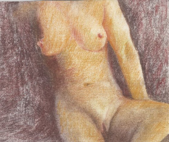 Seated Nude Pastel on Paper