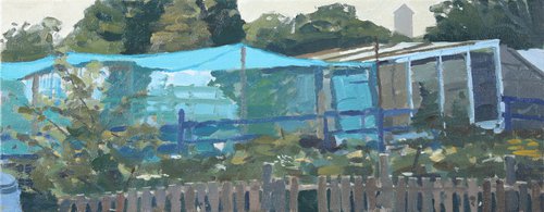 Evening Light, Hove Allotments by Elliot Roworth