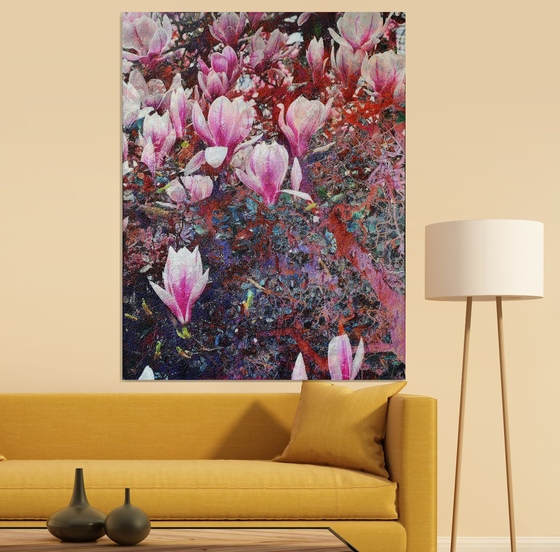Magnolia versus Hazerl