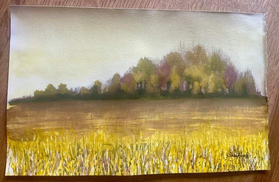 By the yellow field , Wiltshire