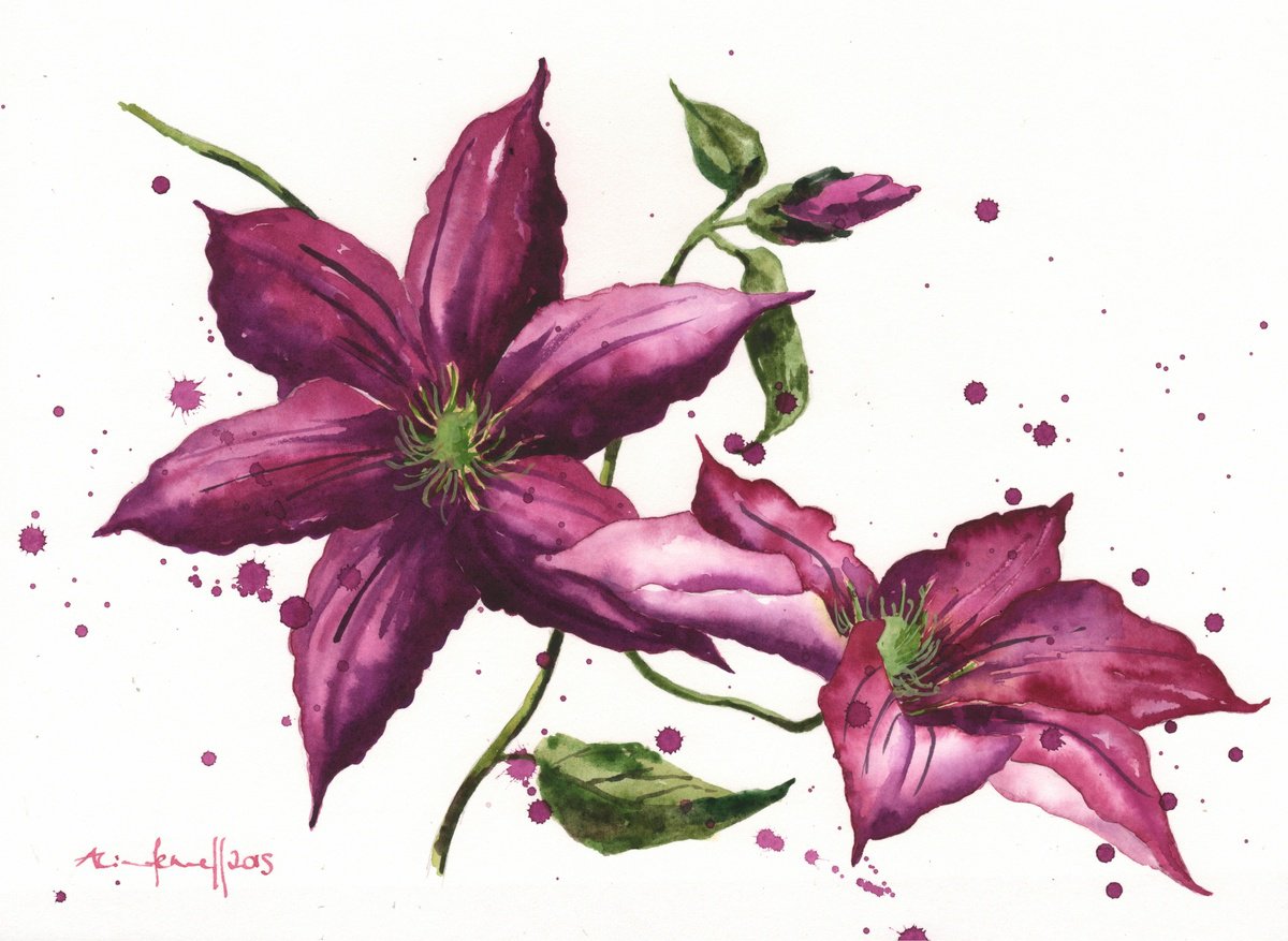 Clematis Class - Original Watercolour Painting by Alison Fennell