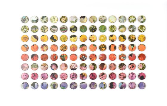 3D Floral Dots collage