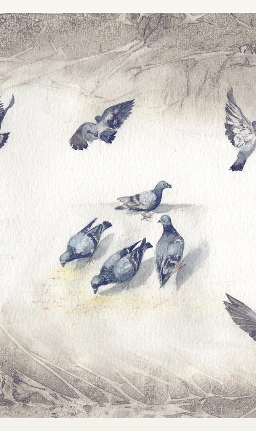 Indian Rock Pigeons by Shweta  Mahajan