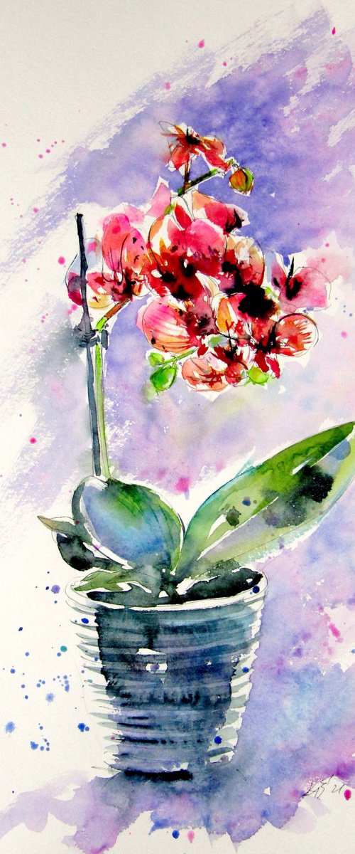 Still life with orchid by Kovács Anna Brigitta