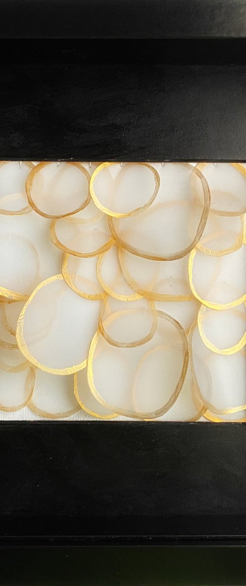 Rising Bubbles by Swapna Namboodiri