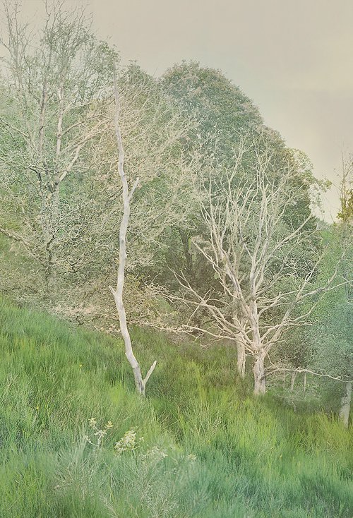 Landscape Greens by Mariska Karto