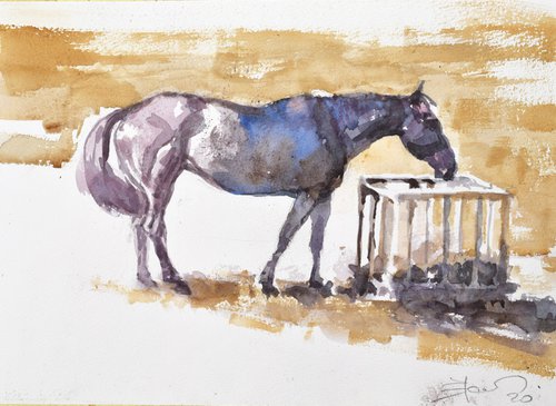 Horse by Goran Žigolić Watercolors