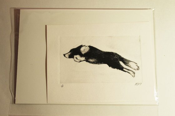 Running Collie, Dog Monoprint, One of a Kind Print