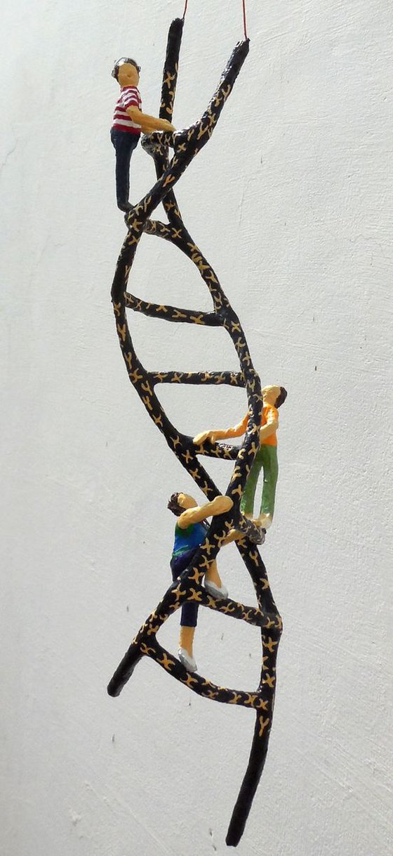 Climbing the DNA Ladder