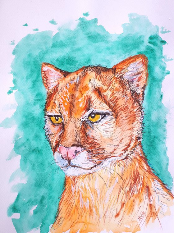 "Jaguarundi"