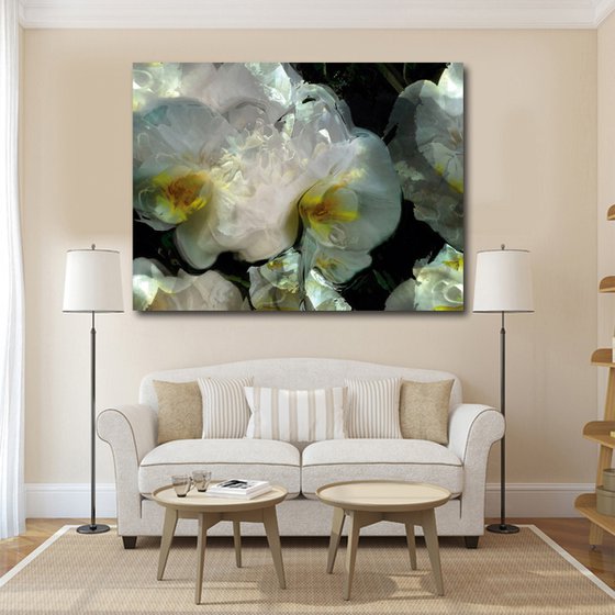 Orquídeas