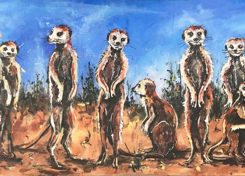 Meerkats by Ewen Macaulay