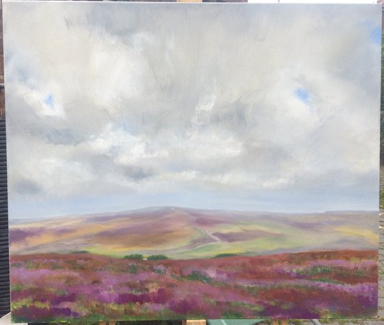 Heather on the North Yorkshire Moors