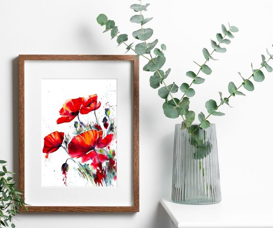 Red Poppies Watercolors