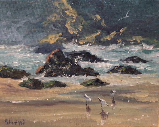 Seagulls On The Shore