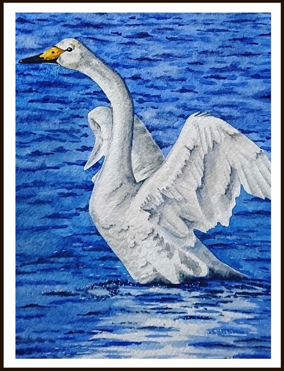 Swan. Watercolor portrait painting.
