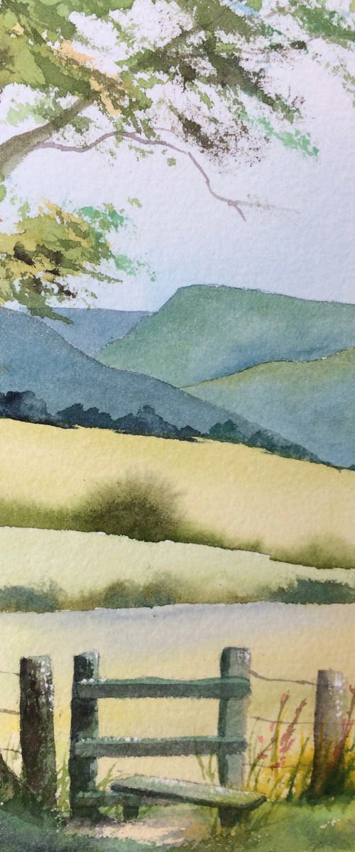 Morning walk by Silvie Wright