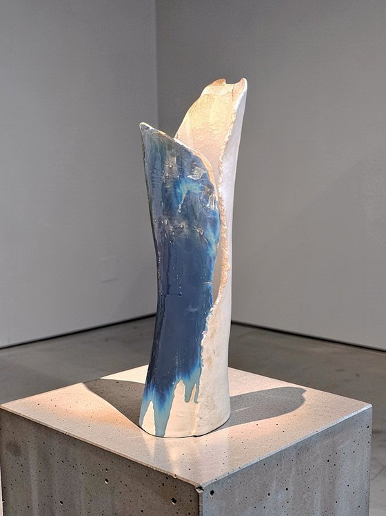 BLUE BIRD, WHITE WINGS