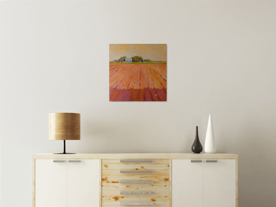 Midwest. Farmland in Evening