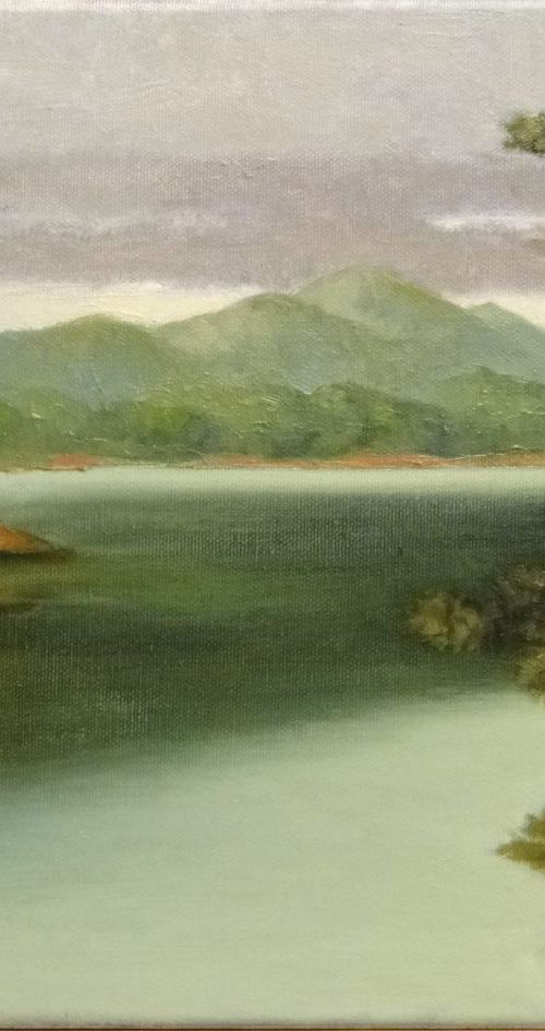 Lake Blue Ridge From The Dam by Rick Paller