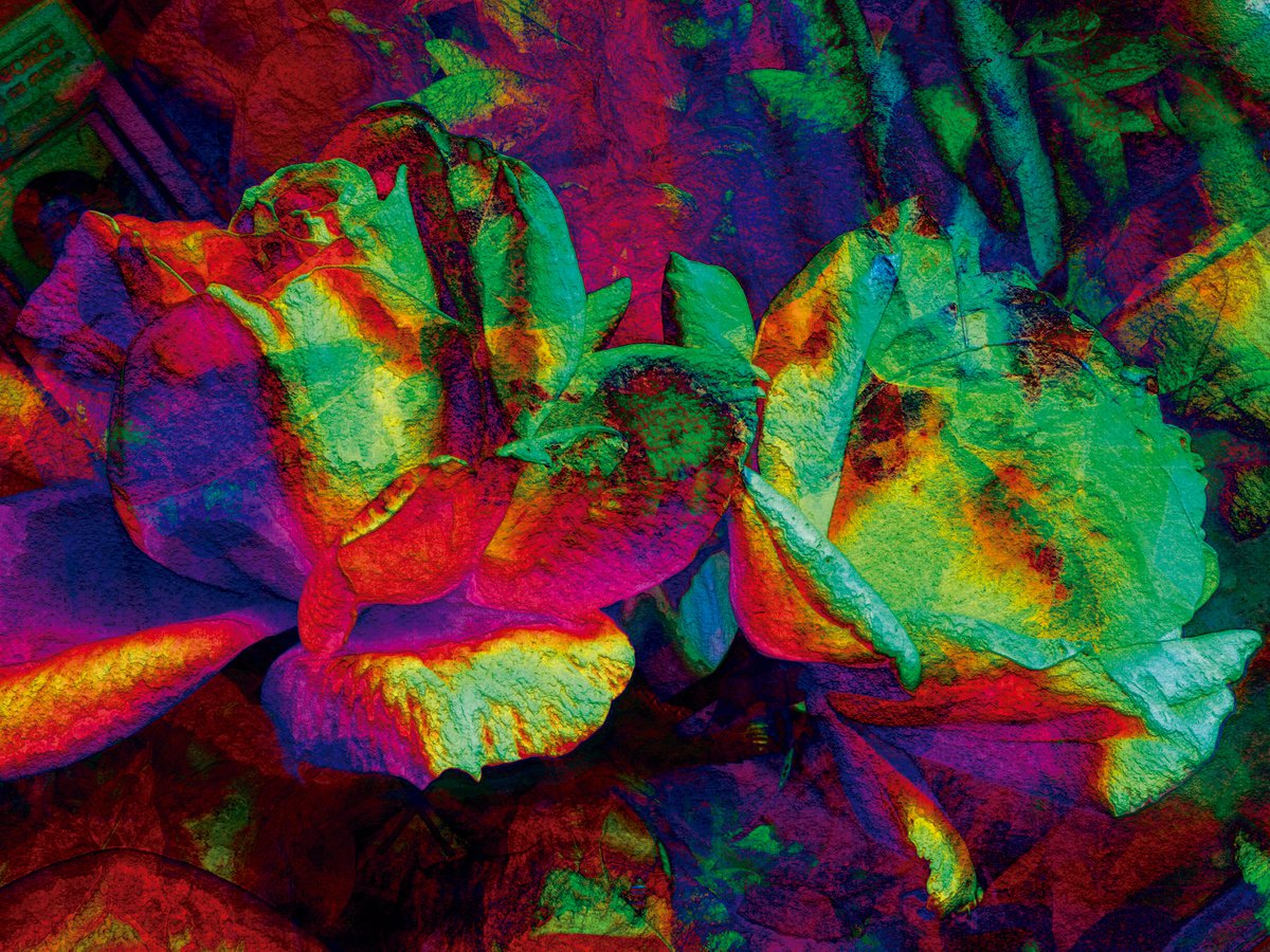 Abstract Botanical Print By Javier Diaz, 79 X 60, Petalos 3, Original Artwork