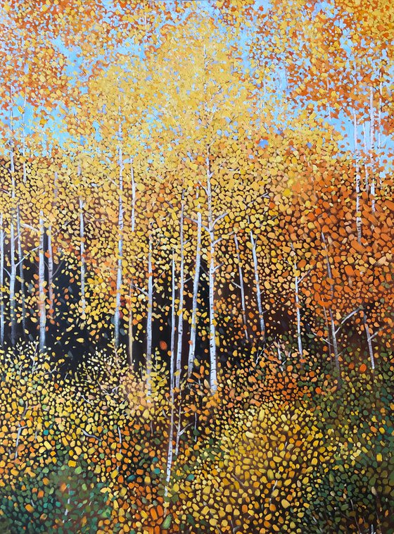 Yellow Aspen Tree