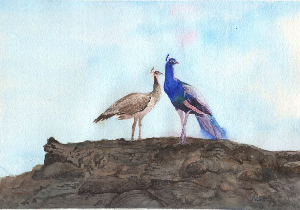 Indian blue peacock and peahen watercolor painting by Shweta Mahajan