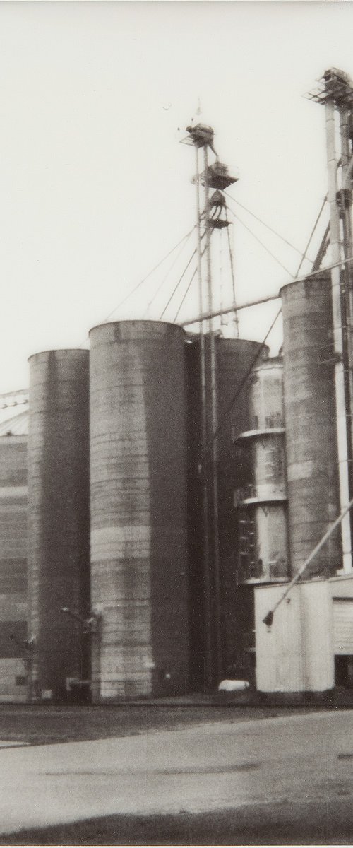 Document, August 10 by Robert Tolchin