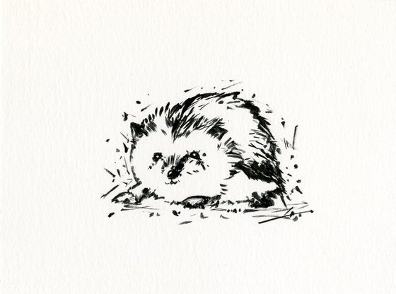 Adorable Hedgehog 9