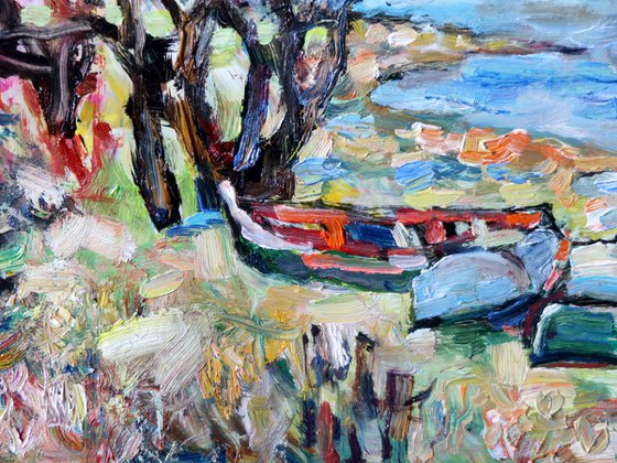 Boats and Spring