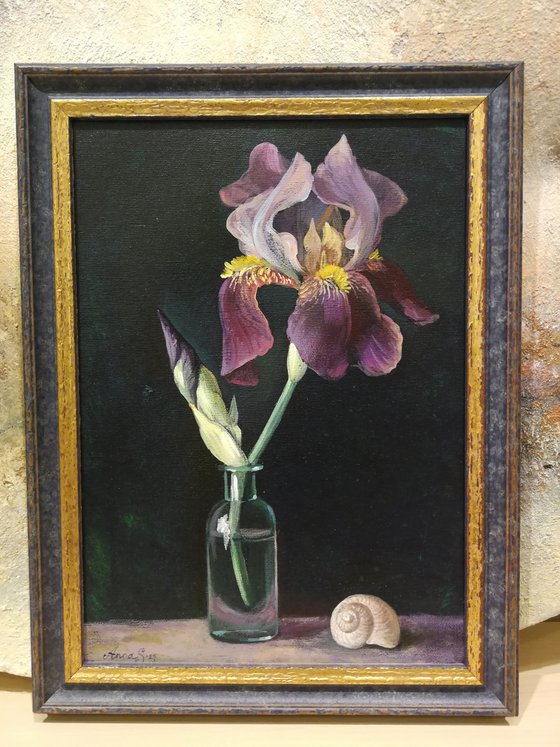 “Still life with Iris”