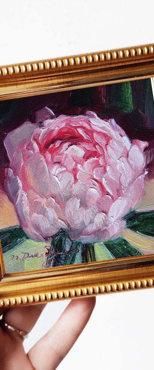 Pink peony flower by Nataly Derevyanko