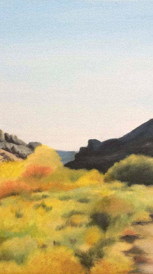 Wild west by Silvie Wright