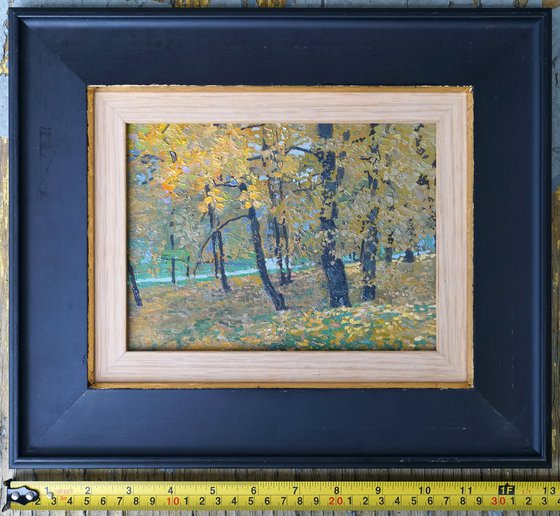 Tsaritsyno. Autumn leaves