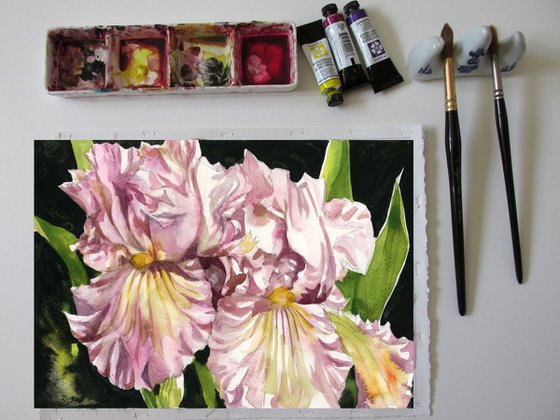 pink irises watercolor floral