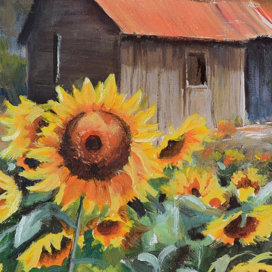 Old cabin with sunflower yard