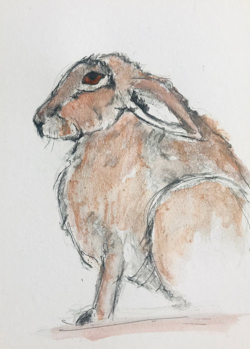 Hare by Paul Simon Hughes