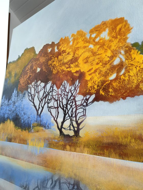 "What Remains in Light”