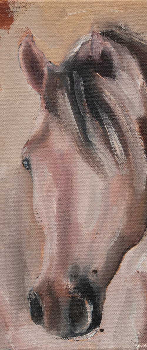 Equine Head Arab White (study 30) by Zil Hoque