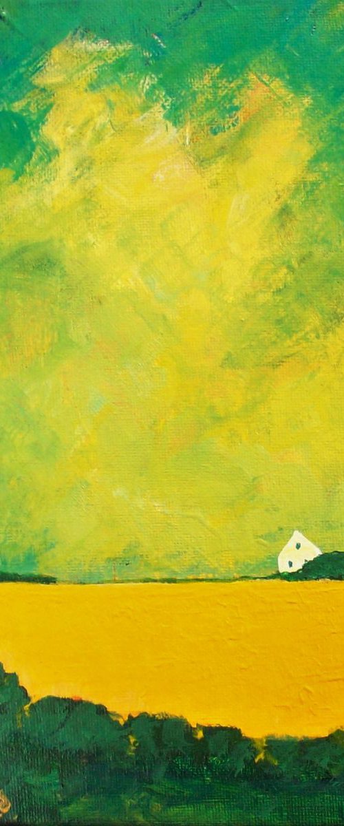 Small Field Near Dumfries by David J Edwards