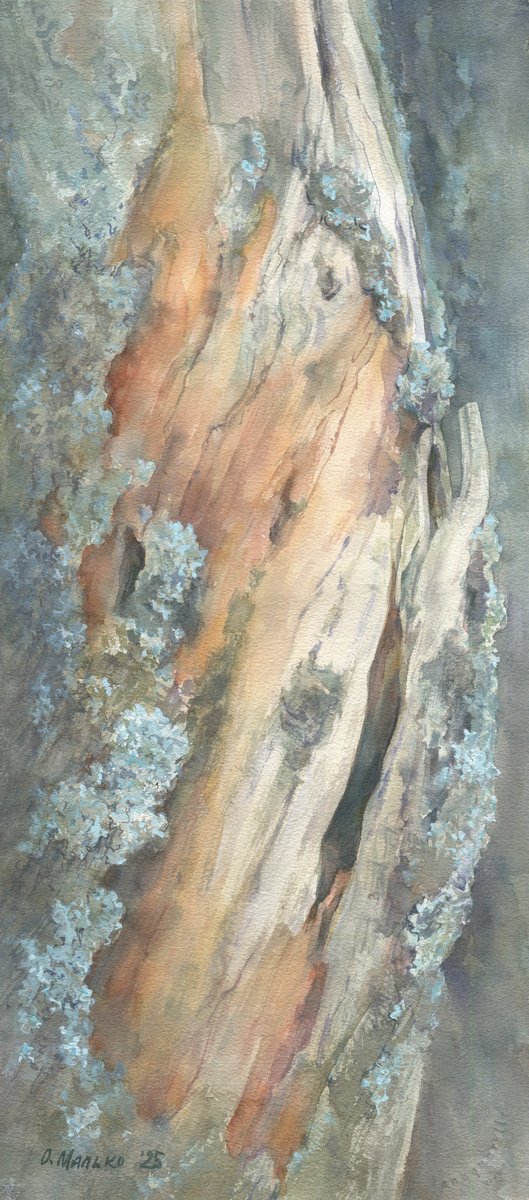 Impressionistic Abstract Watercolour By Olha Malko, 10 X 22", Old Plum Tree Trunk, Original Artwork