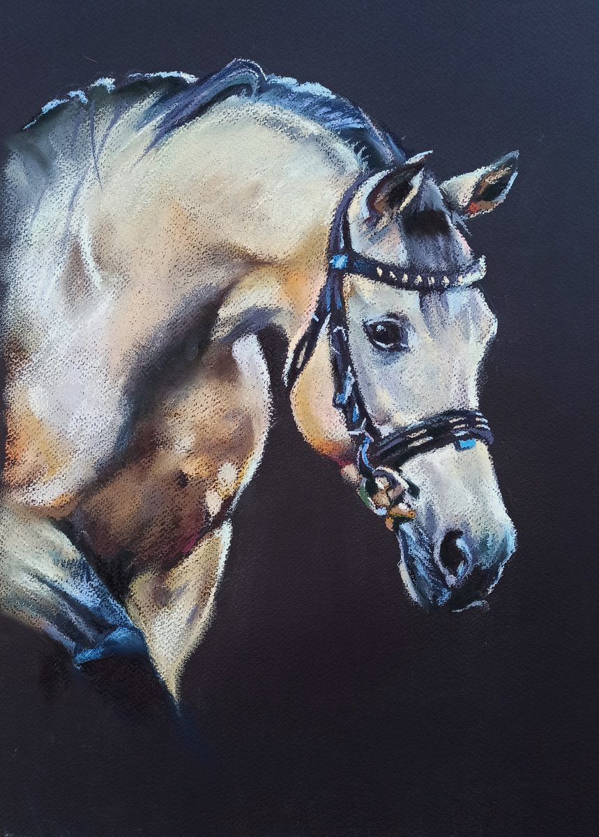 Quarter Horse II by Magdalena Palega