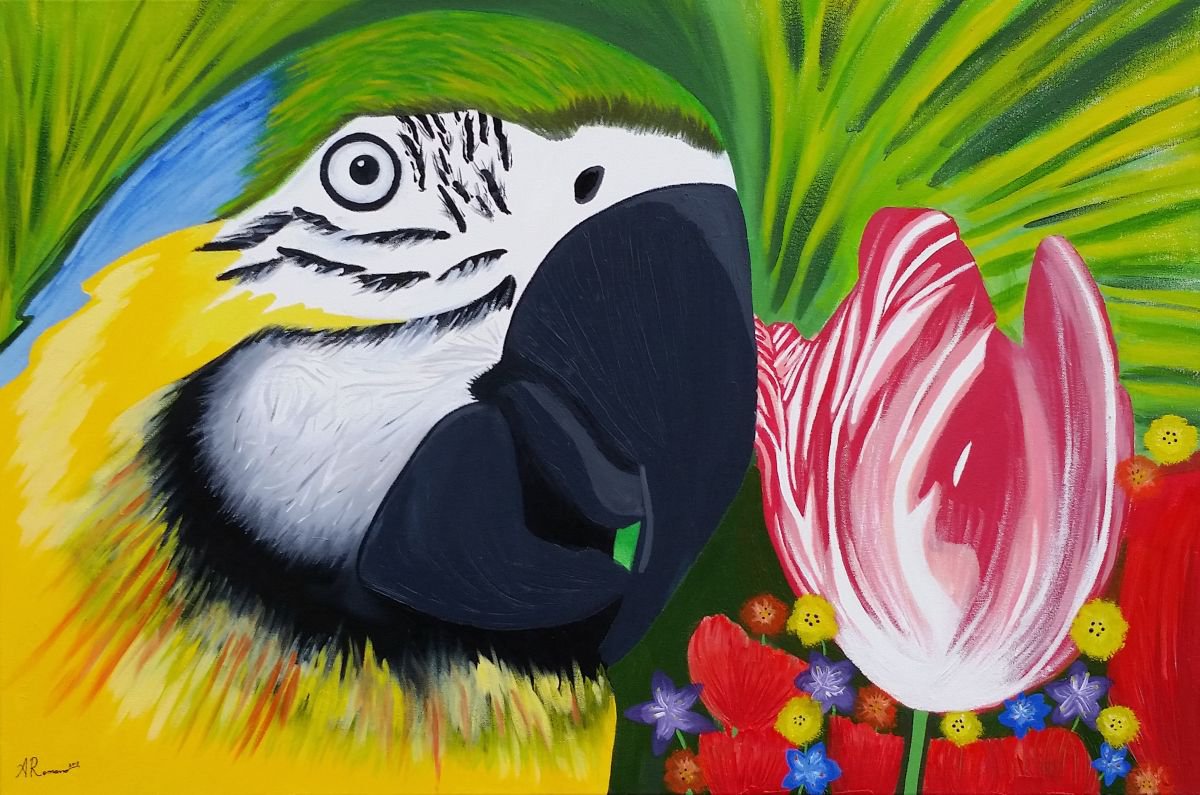 Bird of Paradise by Alexandra Romano