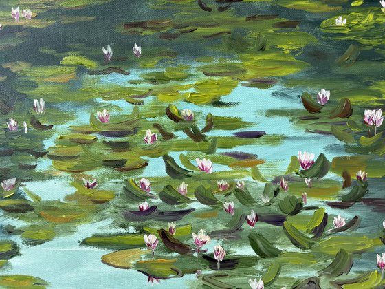 Water Lilies on the Quiet Pond